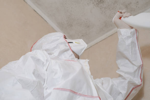 Best Mold Cleaning Services  in Jefferson Valley Yorktown, NY